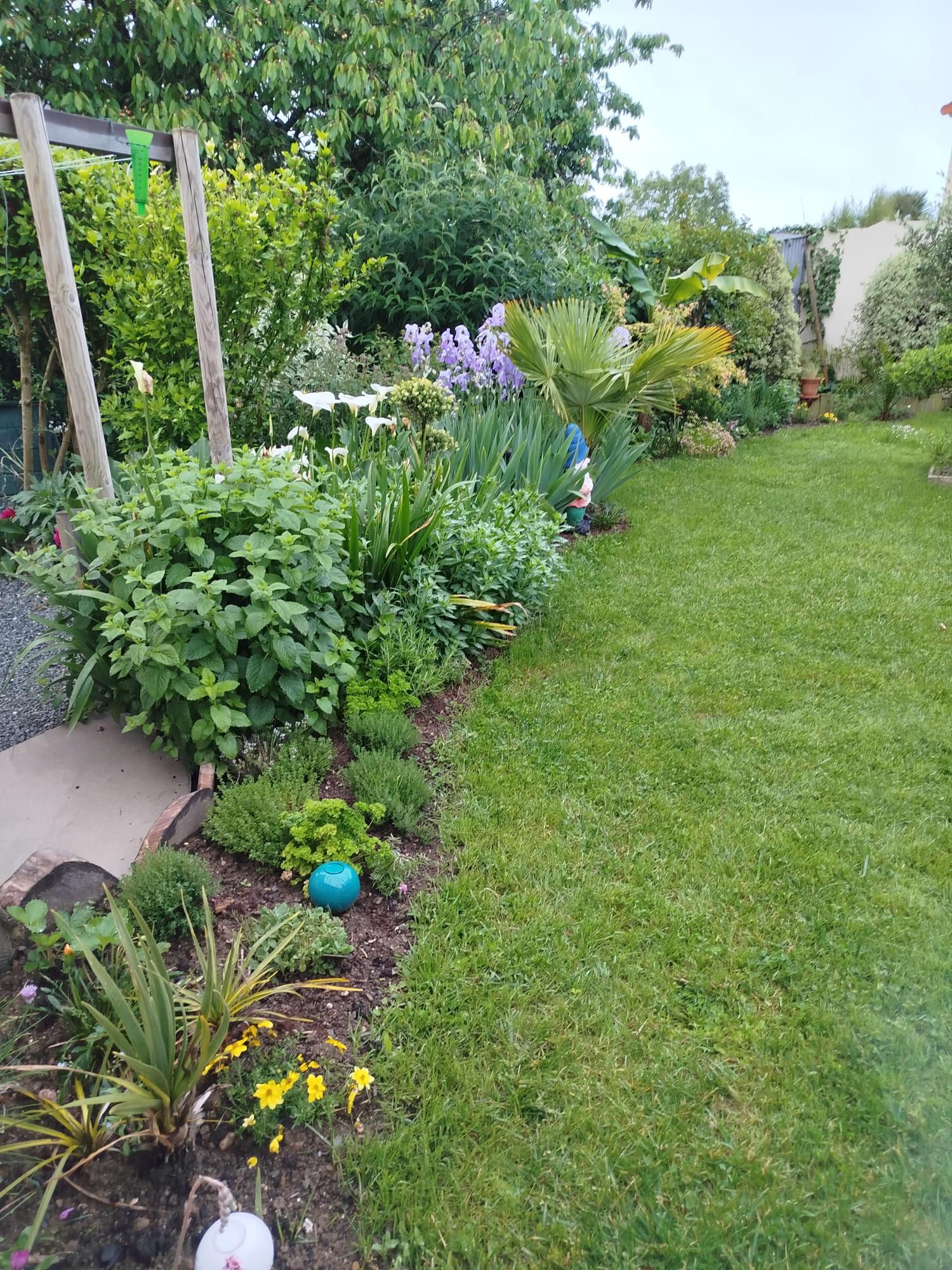 jardin-isa-3.jpeg