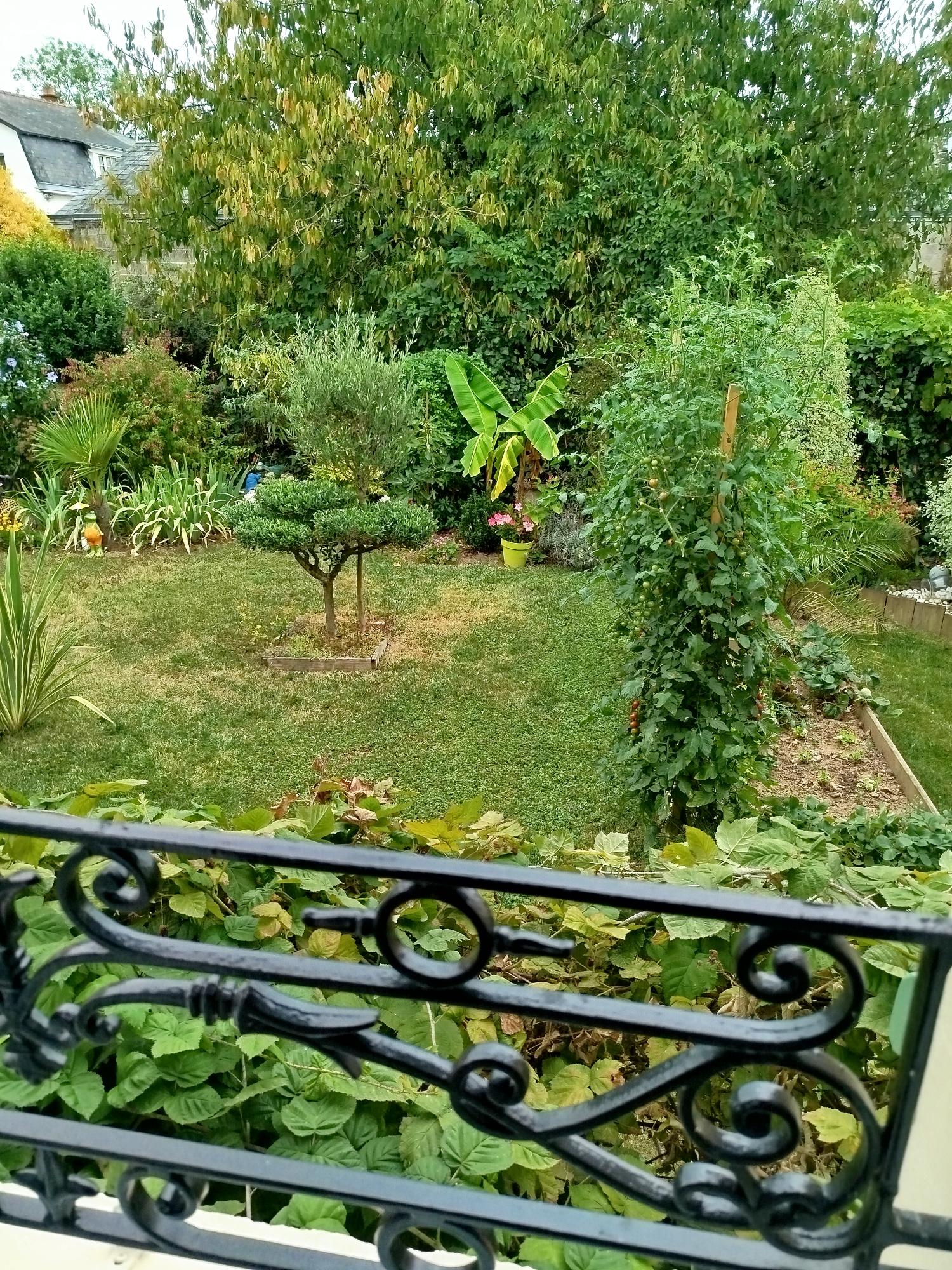 vue-de-la-fenetre.jpg